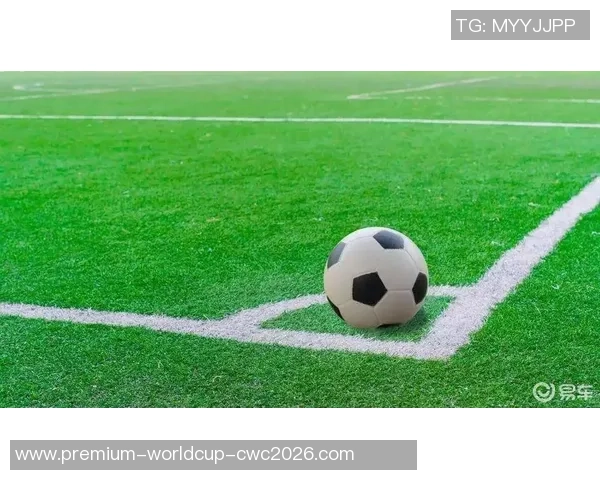 深圳大生足球场周边美食与休闲活动全攻略尽享精彩周末时光