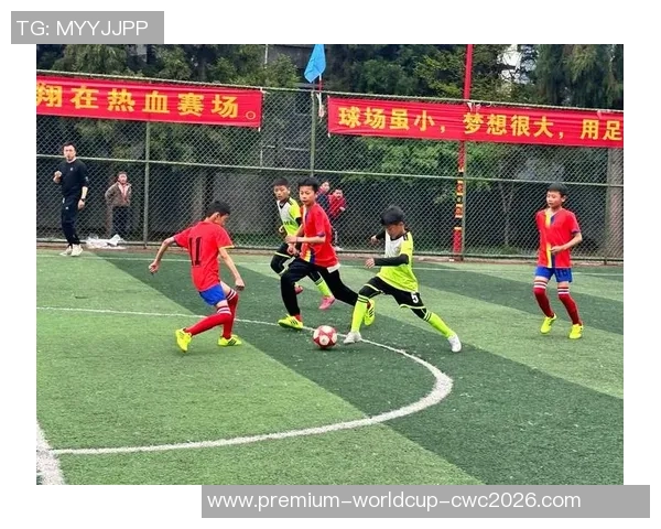 班勇足球：激情与梦想交织的绿茵场上奋斗故事